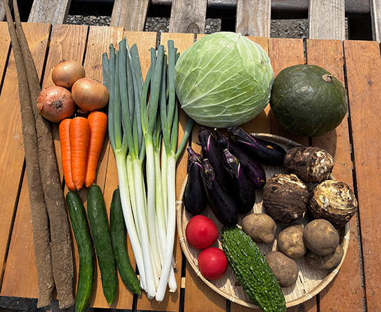 タダヤサイ / 【特売】ねぎ8本つき野菜11種（本州と四国の方