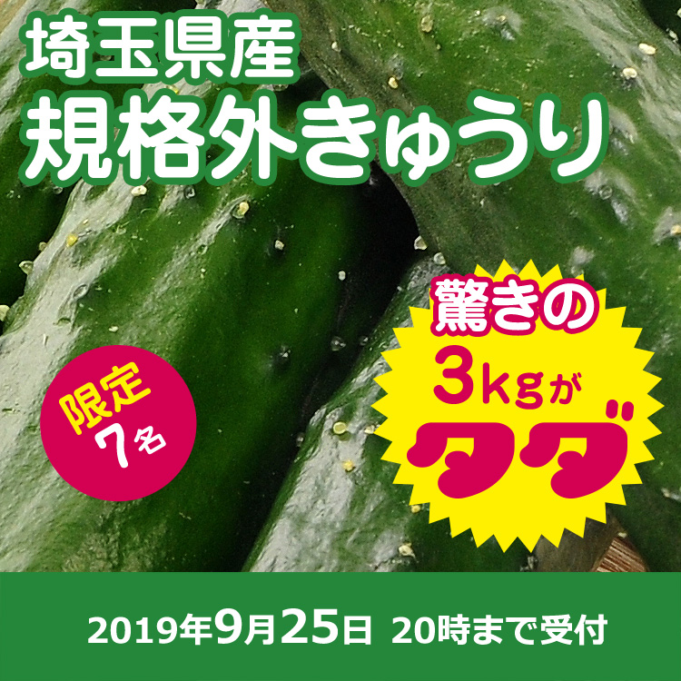 【おすそわけ】きゅーり 3キロ