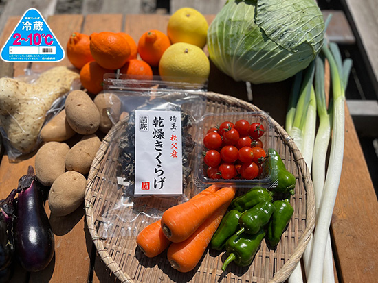 【きくらげ付き】訳あり野菜11種セット※クール便※(本州と四国の方)