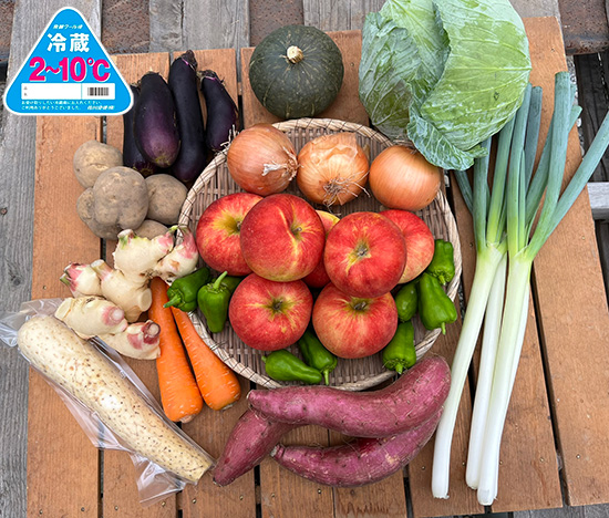 【りんご1.5キロ付き】訳あり野菜11種セット(本州と四国の方)