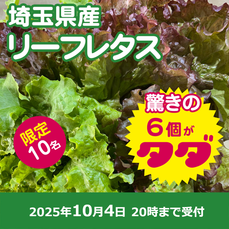 【プレゼント】リーフレタス6袋