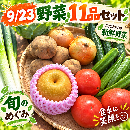 【9/22タイムセール】旬の野菜11品セット（北海道と九州の方）※クール送料込み※