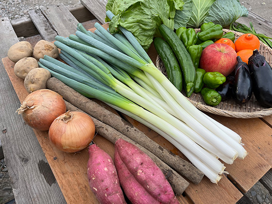 【ネギ10本付き】訳アリ野菜11種(北海道と九州の方)※送料込み※