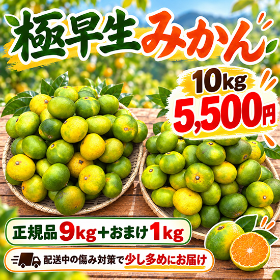 【極早生】みかん10キロ※全国送料込み※