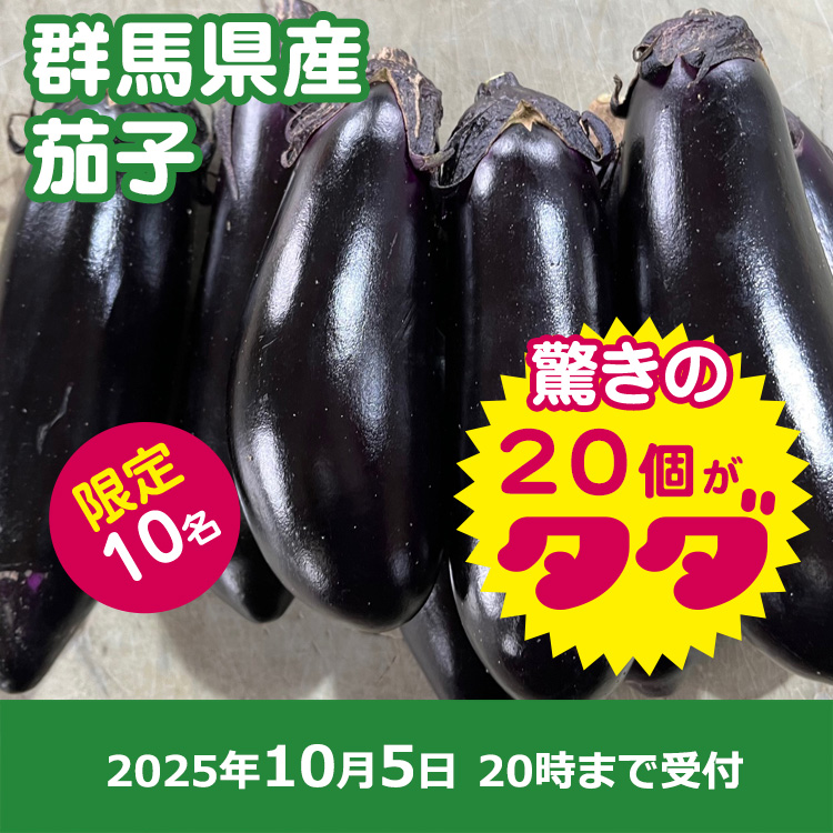 【プレゼント】ナス20本