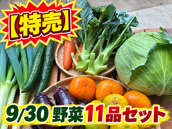 【特売9/30】野菜11品セット（本州と四国の方）※送料込み※