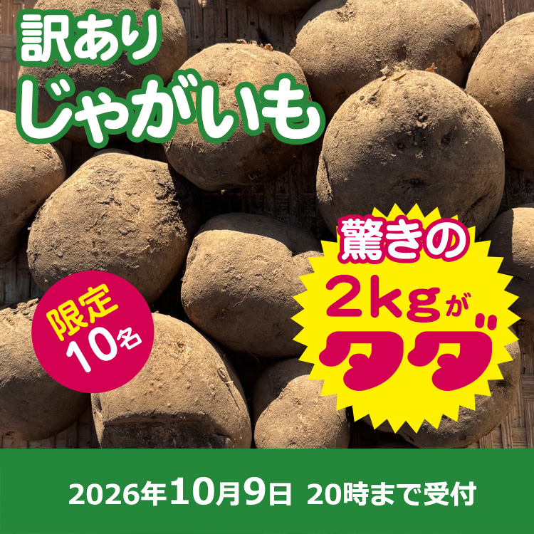 【プレゼント】わけありじゃがいも