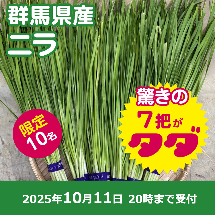 【プレゼント】ニラ