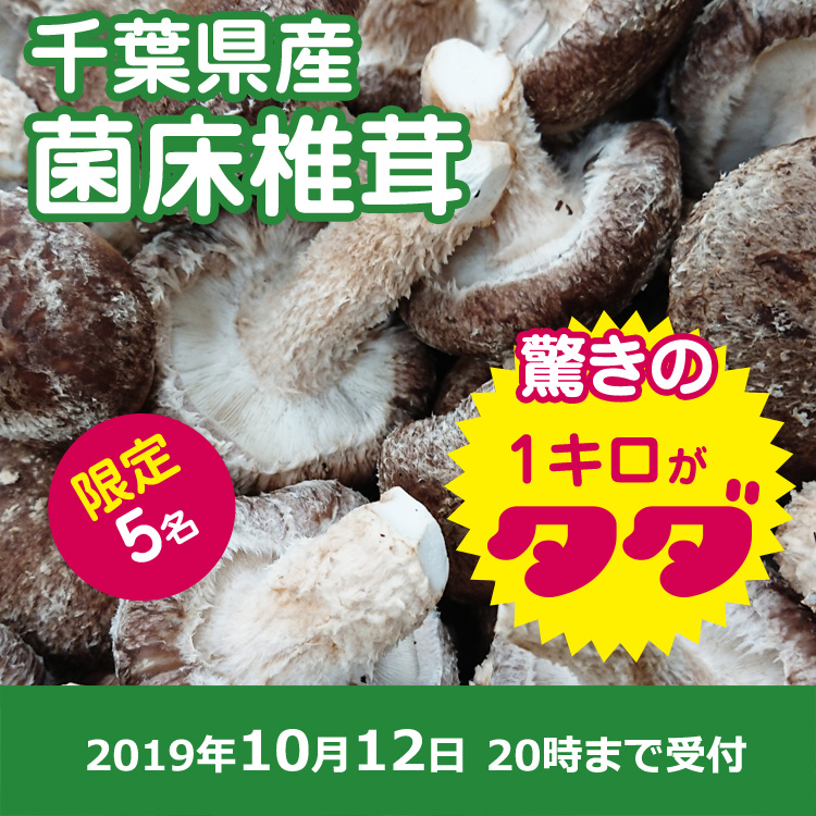 【プレジール秋桜ご提供】菌床椎茸1キロ