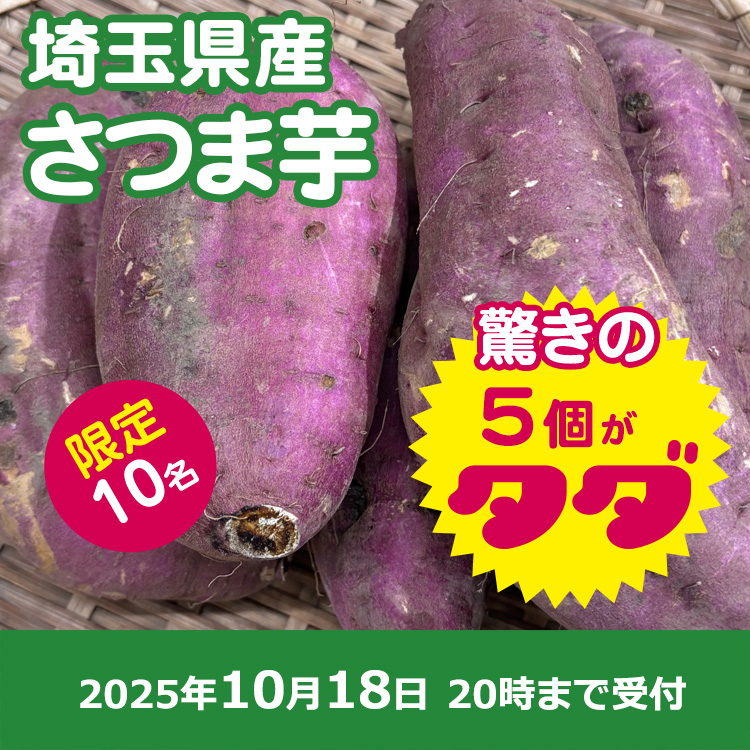 【プレゼント】さつまいも5本