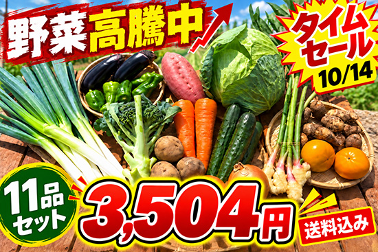【タイムセール】10/14訳アリ野菜11品！（北海道と九州の方）※送料込み※