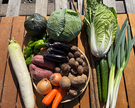 【特売10/18】わけあり野菜12種(本州と四国の方)※送料込み※100サイズ満タン
