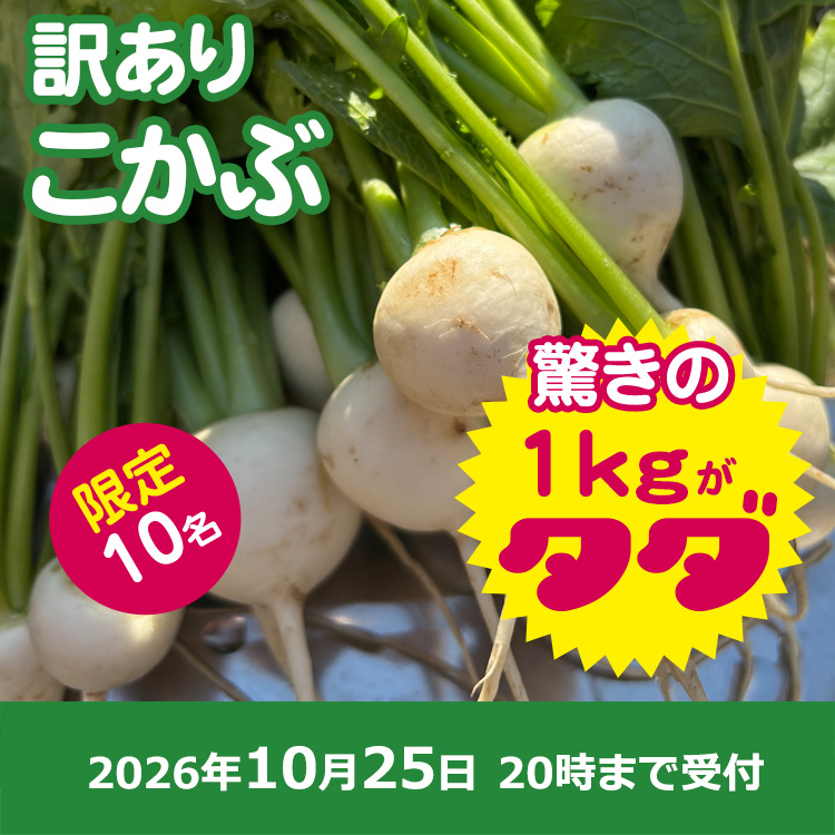 【プレゼント】小かぶ1㎏