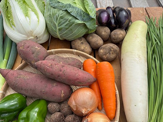 【さつま1キロ付き】わけあり野菜12種(本州と四国の方)※送料込み※100サイズ満タン