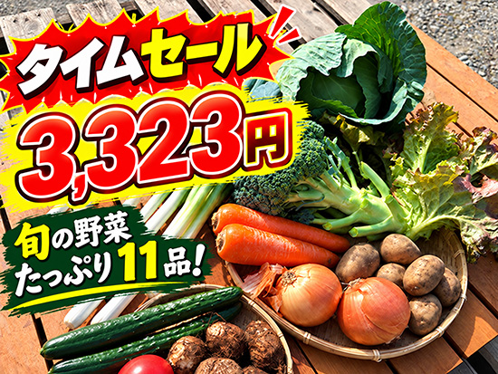 【特売10/23】野菜11品セット（北海道と九州の方）※送料込み※