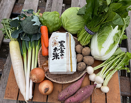【新米2キロ付き】野菜11品セット(北海道と九州の方)