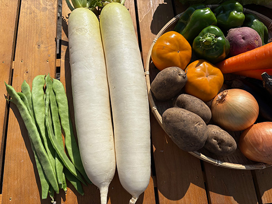 【大根2本付き】わけあり野菜12種(本州と四国の方)※送料込み※100サイズ満タン