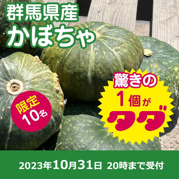 【プレゼント】大玉かぼちゃ1個