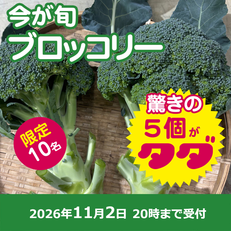 【プレゼント】ブロッコリー5個