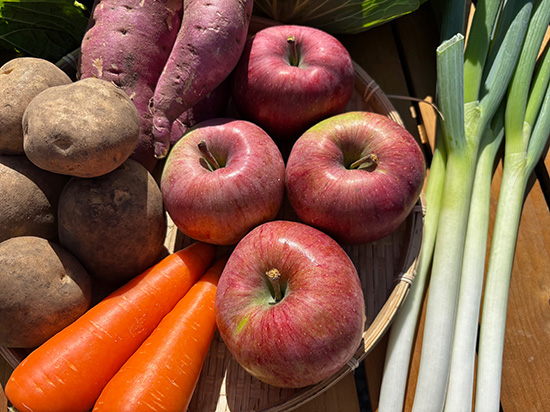 【りんご4個付】野菜12種(北海道と九州の方)※送料込み※