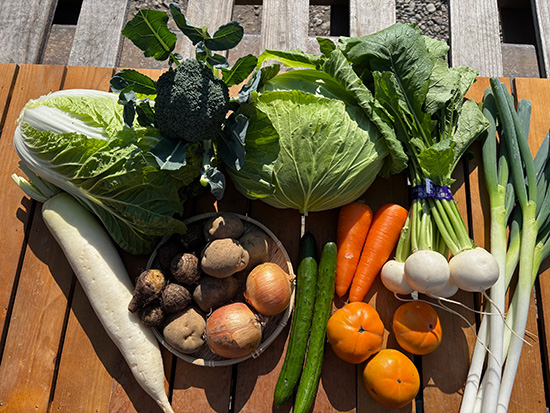 【特売10/31】わけあり野菜12種（本州と四国の方）※送料込み※100サイズ満タン