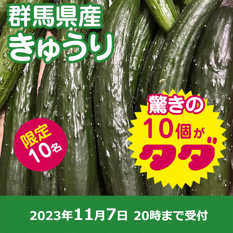 【プレゼント】きゅうり10本