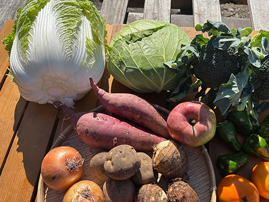 【特売11/4】わけあり野菜12種（本州と四国の方）※送料込み※100サイズ満タン