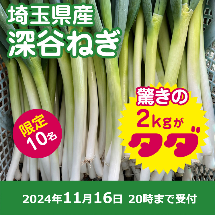 信州産　ねぎ苗　朝採りネコポスいっぱい♪ 信州産 ねぎ苗 朝採りネコポスいっぱい♪ 【公式通販】