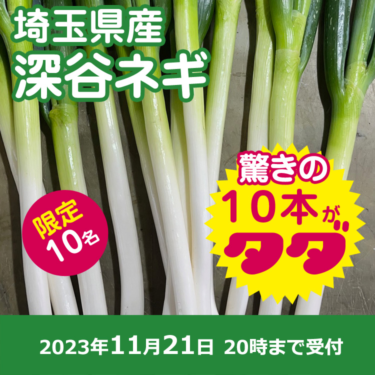 【プレゼント】深谷ネギ10本