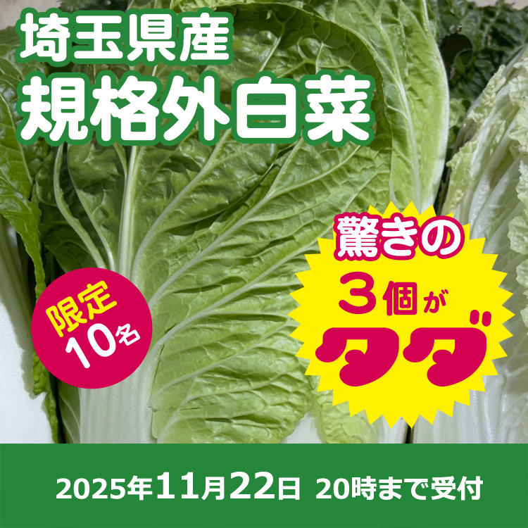 【プレゼント】規格外白菜