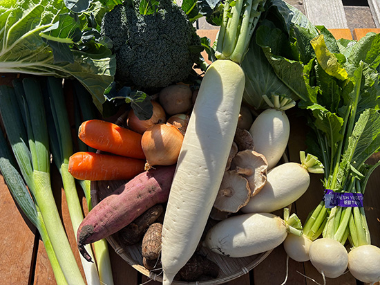 【特売11/18】わけあり野菜12種（本州と四国の方）※送料込み※100サイズ満タン