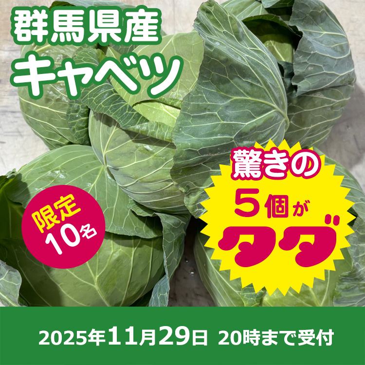 【プレゼント】キャベツ5個