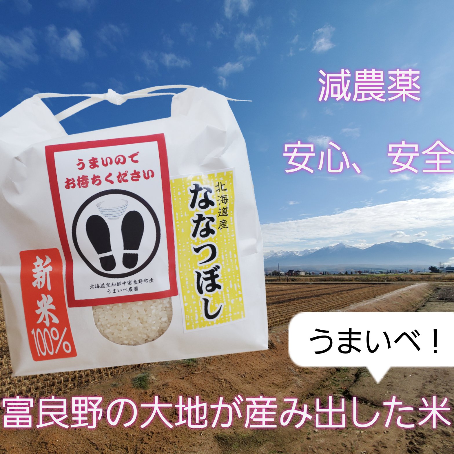 【新米】ななつぼし１０kg