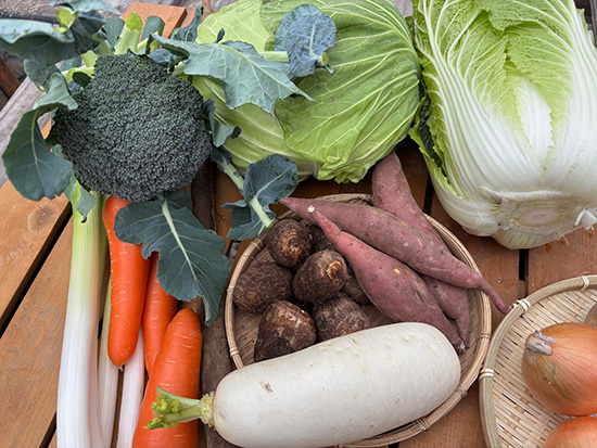 【特売11/25】わけあり野菜12種（北海道と九州の方）※送料込み※100サイズ満タン