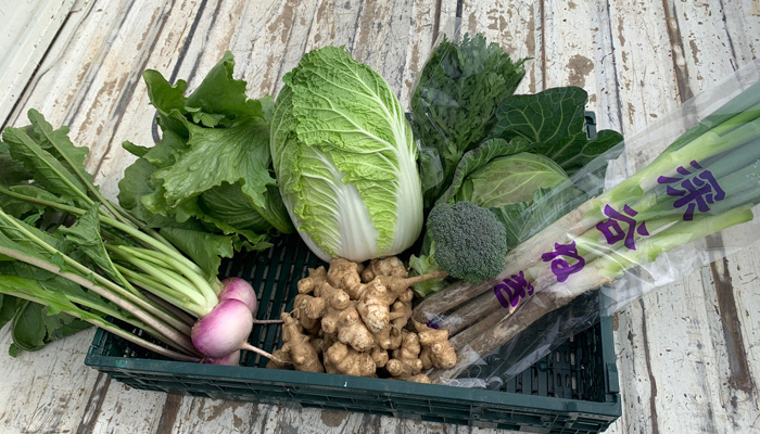 【高級食材菊芋入り】野菜8品セット(関西・中国・四国発送の方はこちら)