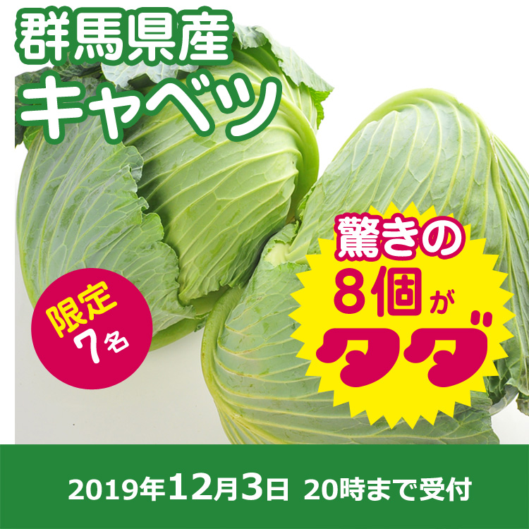 【おすそわけ】キャベツ8個