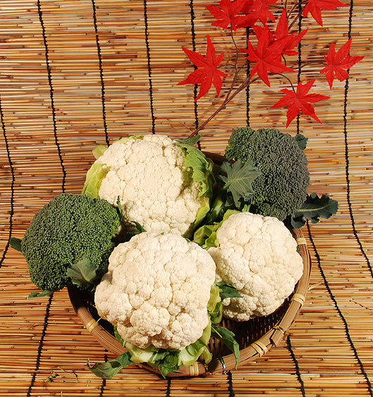 【特売】カリフラ&ブロッコリ&柚子が入る野菜8品セット(北海道・九州発送の方はこちら)