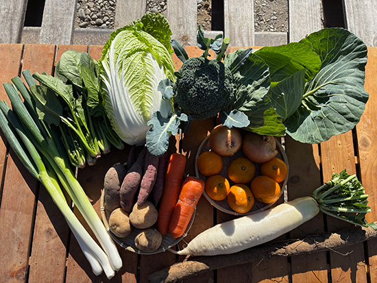 【特売12/6】わけあり野菜12種（本州と四国の方）※送料込み※100サイズ満タン