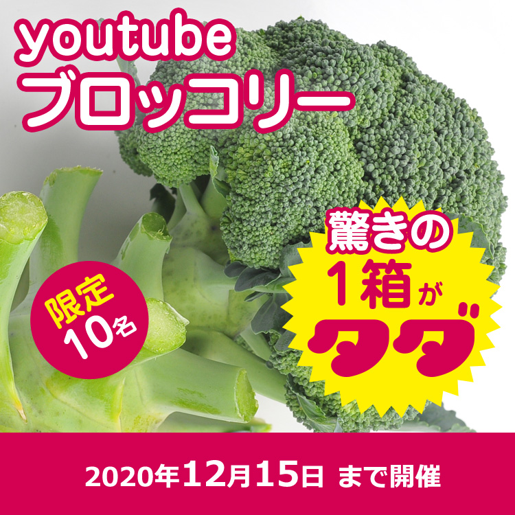 【youtube】ブロッコリー80サイズのダンボール満タン