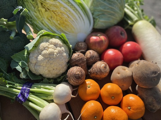 【タイムセール】100サイズ満タン訳あり野菜11種セット(本州と四国の方)※送料込み※