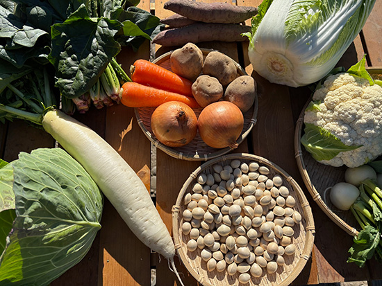 【銀杏付き】わけあり野菜12種（本州と四国の方）※送料込み※100サイズ満タン