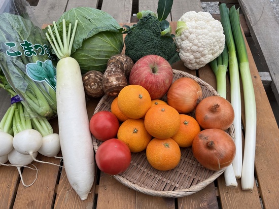 【紅まどんな付き】訳あり野菜10種セット（本州と四国の方）※送料込み※