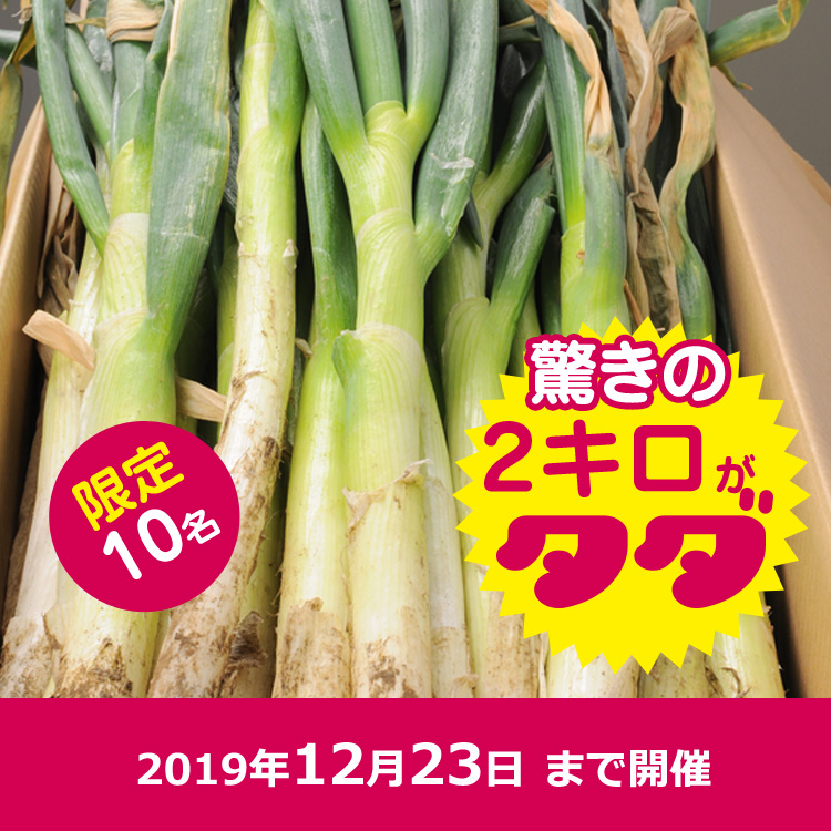 【youtube】現在高騰中の長ネギ2キロプレゼント