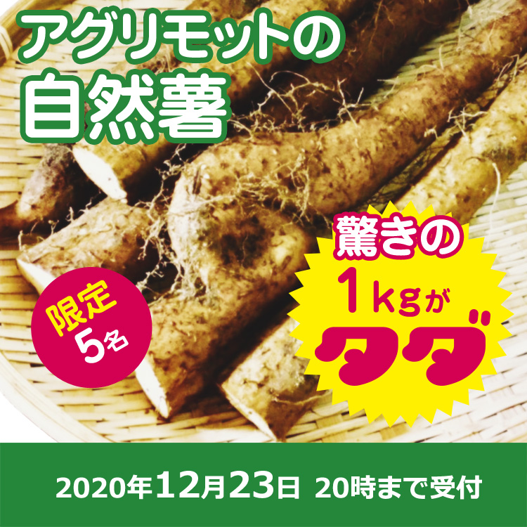 【アグリモットご提供】規格外自然薯1kg