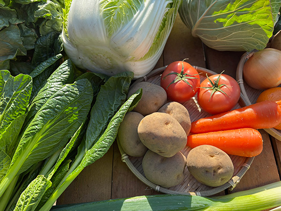 【特売12/17】わけあり野菜12種（本州と四国の方）※送料込み※100サイズ満タン