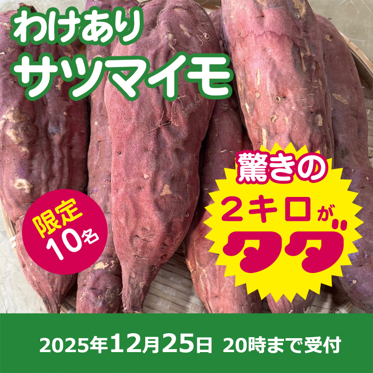 【プレゼント】規格外サツマイモ