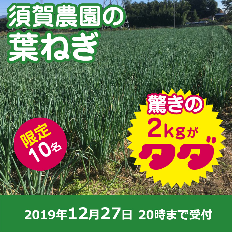 【須賀 農園ご提供】葉ねぎ2キロ
