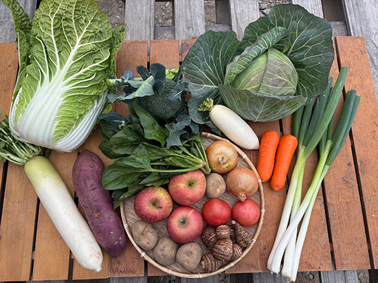 【リンゴ3個付き】わけあり野菜12種（北海道と九州の方）※送料込み※100サイズ満タン