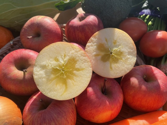 【葉とらずリンゴ1キロ付き】訳あり野菜10種セット(北海道と九州の方)※送料込み※