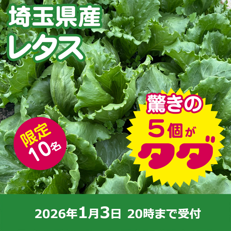【プレゼント】レタス5個